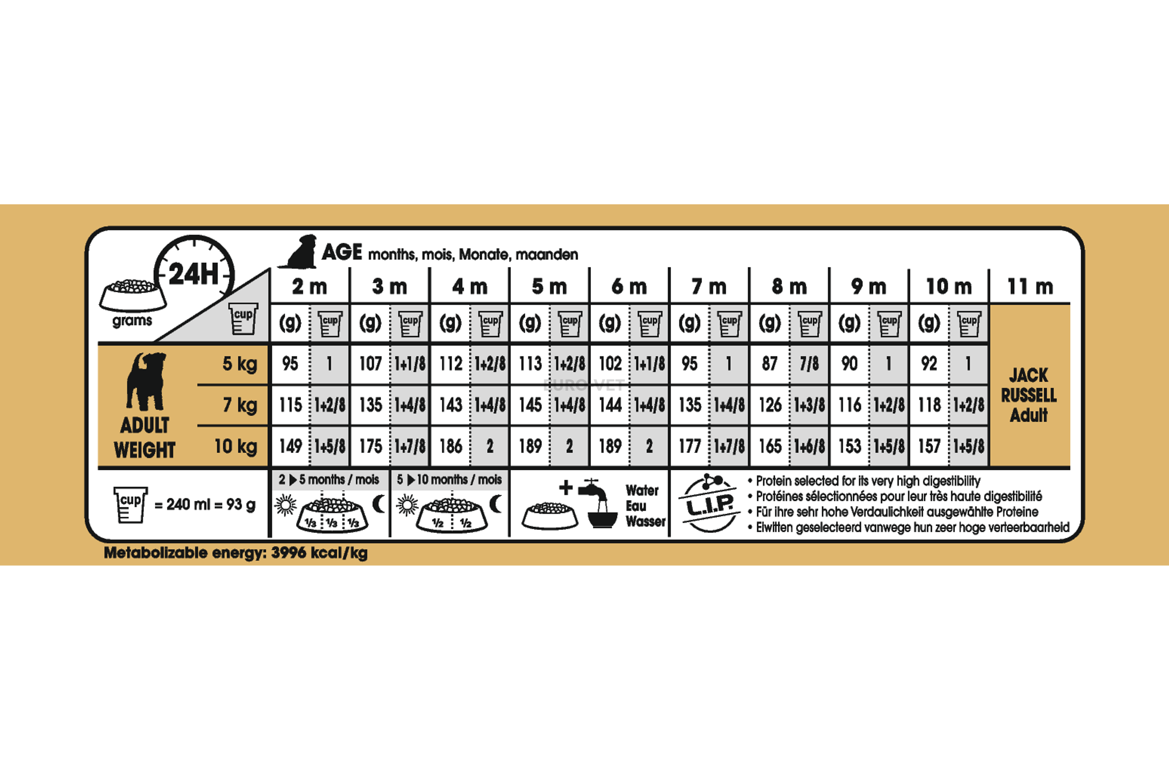 Jack russell puppy outlet feeding chart